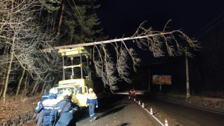 Упавшее дерево повисло над трассой «Симферополь – Алушта»