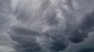 В Крыму ожидается усиление юго-западного ветра  