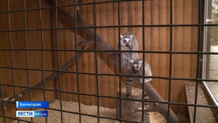 В крымском зоопарке установили обогреватели для лемуров и антилоп