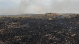 500 квадратных метров травы загорелось в Черноморском районе