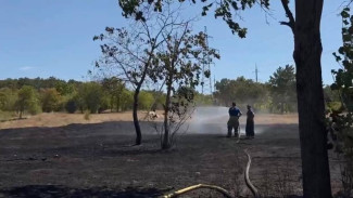  Распространения огня в сторону жилых домов в Бахчисарае не допущено