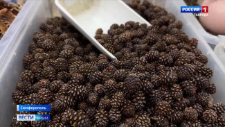 Сильнейшие магнитные бури могут влиять на состояние здоровья метеозависимых крымчан