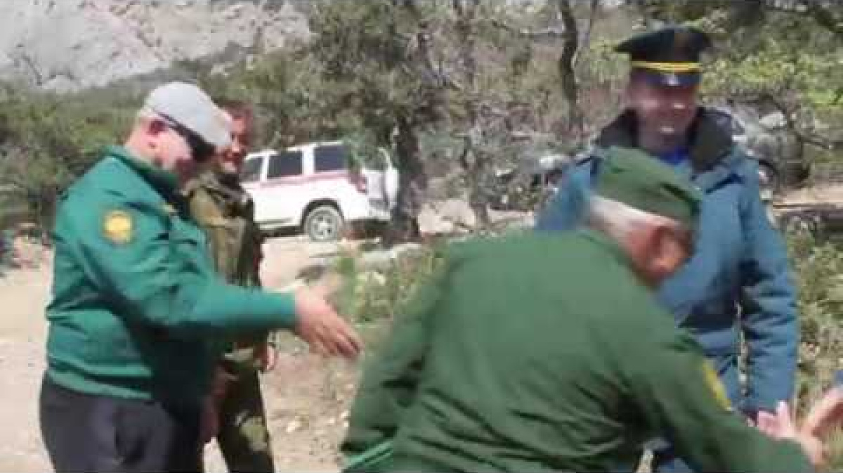 севастопольский лесхоз. лесное хозяйство севастополь. шафран севастополь лесничество. лесничество. гку севастопольское лесничество.