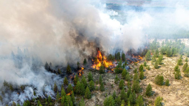 В Крыму ожидается высокая пожарная опасность до 25 октября