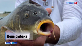 Вести Крым раскрыли секреты успешной рыбалки в Крыму