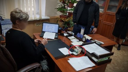 Сдедком возбудил дело в отношении бывшей главы администрации Урожайновского с/п Симферопольского района. 