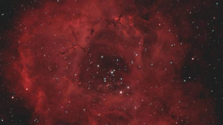 «Роскосмос» показал космический букет к 8 Марта