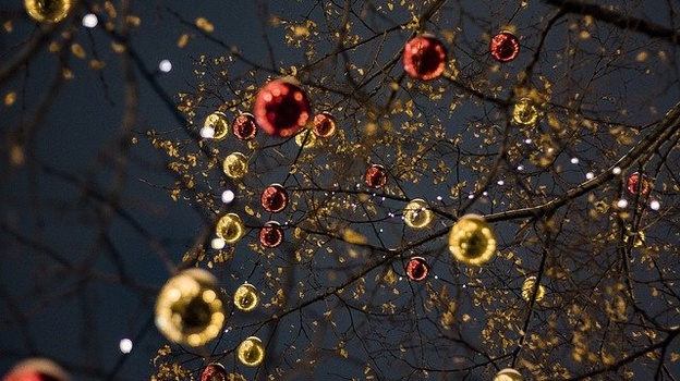 В Севастополе установят 11 новогодних ёлок