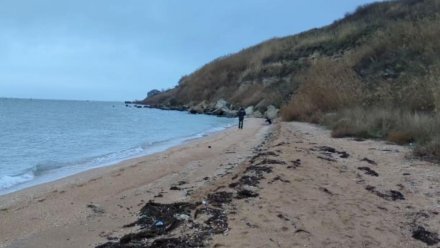 Для уборки пляжей в Керчи приглашают добровольцев