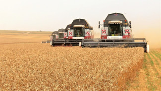 Аграрии в Крыму получили почти миллиард рублей субсидий 