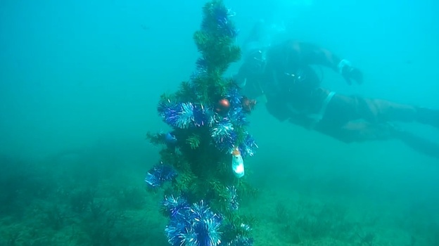 Под Судаком крымские дайверы установили под водой новогоднюю ёлку (ВИДЕО)