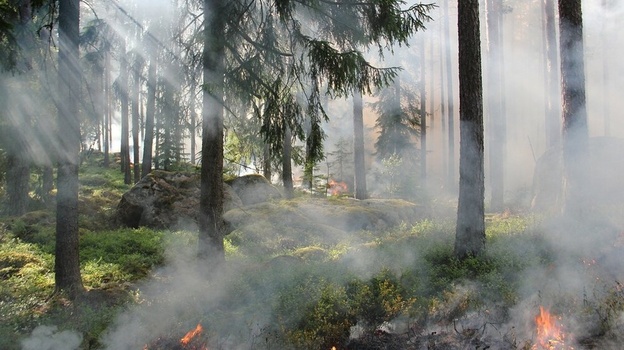 Чрезвычайная пожарная опасность ожидается в ближайшие дни в Крыму
