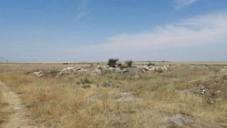 Прокуратура проверяет информацию о несанкционированной свалке в Армянске