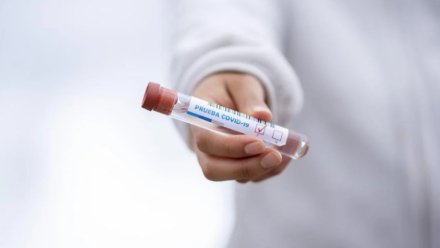 Количество заразившихся коронавирусом крымчан продолжает расти