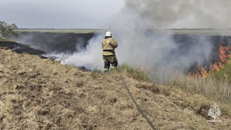 В Кировском районе горел камыш 