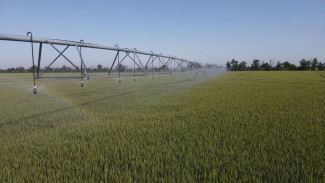 Для восстановления оросительной системы в Крыму необходимо 10 миллиардов рублей