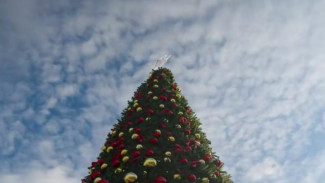 В Новом Херсонесе стартует большая зимняя программа