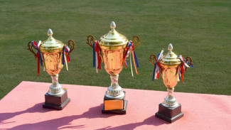 МОК снял ограничения на участие молодых спортсменов из России и Белоруссии в международных соревнованиях