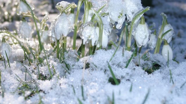 До +3: прогноз погоды в Крыму на 9 февраля