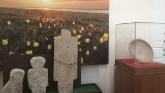 В Керченском музее древностей откроется выставка «Боспорский город Китей»