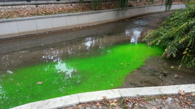 Салгир в Симферополе окрасился в ядовито-зеленый цвет