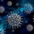 В Севастополе коронавирусом заболели 129 человек