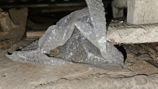 У крымчанина изъяли марихуану 