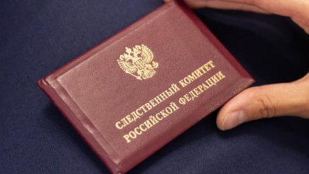 Аксёнов поздравил сотрудников и ветеранов Следственного комитета с Днём образования СК России