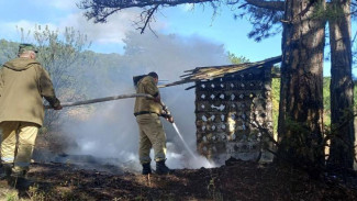 В Крыму вспыхнул пожар на границе с заповедником 