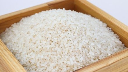 В Крыму в этом году начнут производство риса