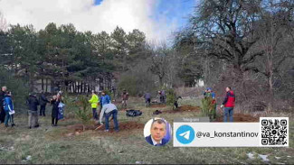Более 8 тысяч крымчан присоединились к экологической акции «Посади свое дерево жизни»