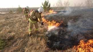 700 квадратных метров травы и кустов загорелись в Балаклаве