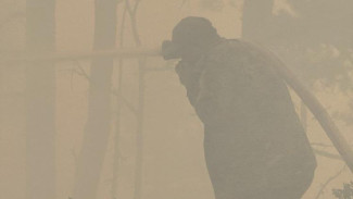 Названа причина лесного пожара под Ялтой 