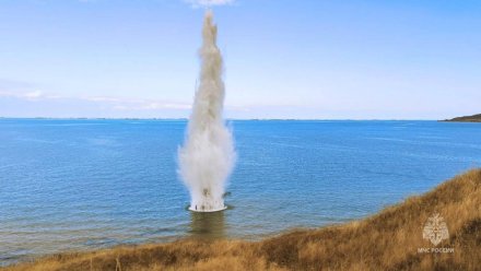 В Азовском море уничтожили около 30 взрывоопасных предметов времён ВОВ