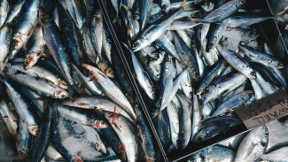 Кулинарные открытия: крымская рыба и морепродукты пользуются популярностью на рынках Москвы