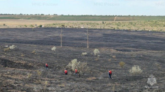 Пожар в Симферопольском районе потушили на 40 га