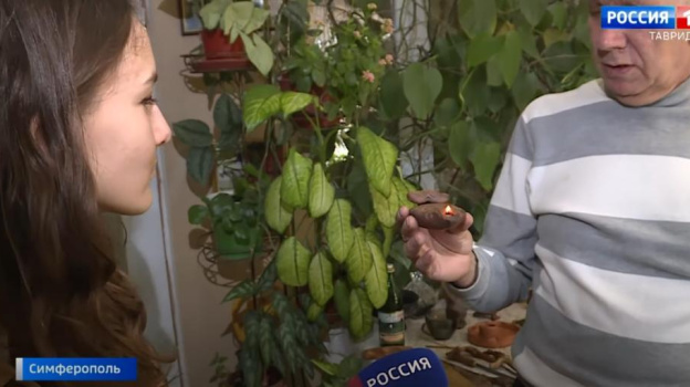 В Крыму высадили молодые деревья в рамках международной акции 