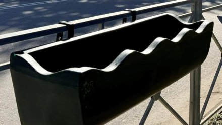 На улицах Евпатории высадят осенние цветы