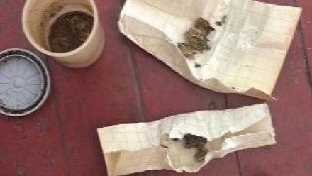 В Крыму мужчину подозревают в распространении наркотиков под Ялтой