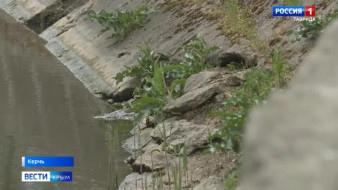 Прокуратура проверит информацию после сюжета Вести Крым о ненадлежащем состоянии русла реки Мелек-Чесме