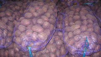 В России могут запретить продажу картофеля в сетках