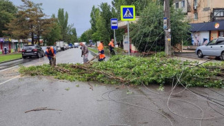 Автовладельцев в Симферополе призвали оставаться дома