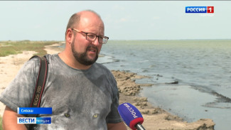 Водно-болотные угодья в Крыму пострадали из-за перекрытия Северо-Крымского канала 