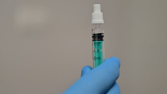 В поликлиники Севастополя поступила партия назальной вакцины от коронавируса