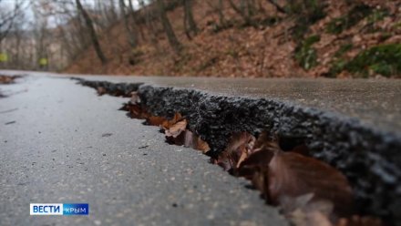 В Крыму определили компанию, которая спроектирует инженерную защиту дороги через Ай-Петри