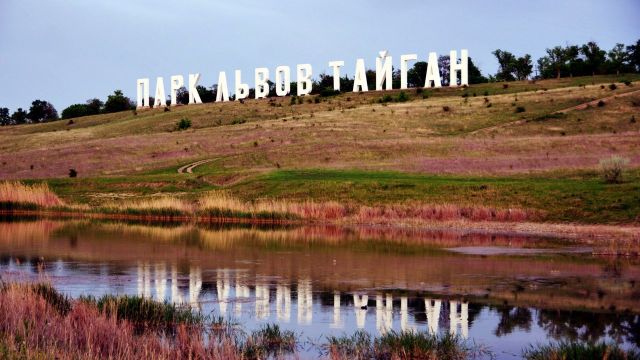 В Госсовете Крыма поддержали временное закрытие «Тайгана»