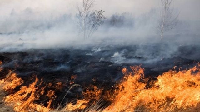 В Республике Крым 26 пожаров за сутки