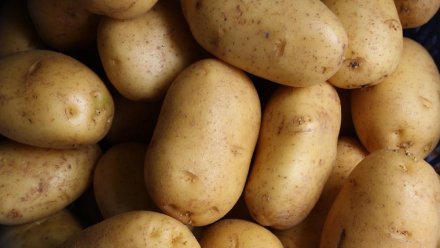 Как выбрать качественный картофель в Крыму: совет Роспотребнадзора