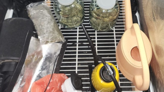  У жителя Евпатории изъяли наркотики, выращенные в боксе для гидропоники