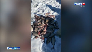 Около тонны рыбы незаконно выловили в Симферополе